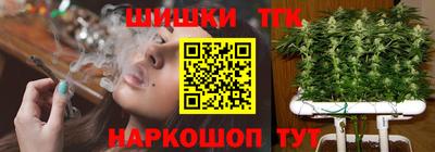 МДПВ Славгород