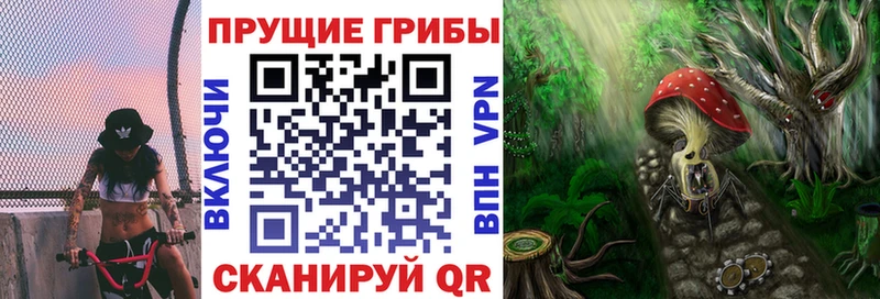 Галлюциногенные грибы Psilocybe  Рубцовск 