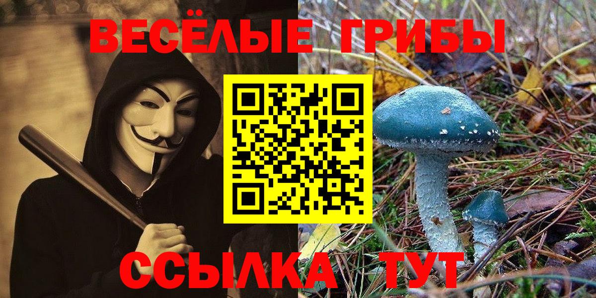 как найти   Вход с VPN  Рубцовск  Галлюциногенные грибы ЛСД 